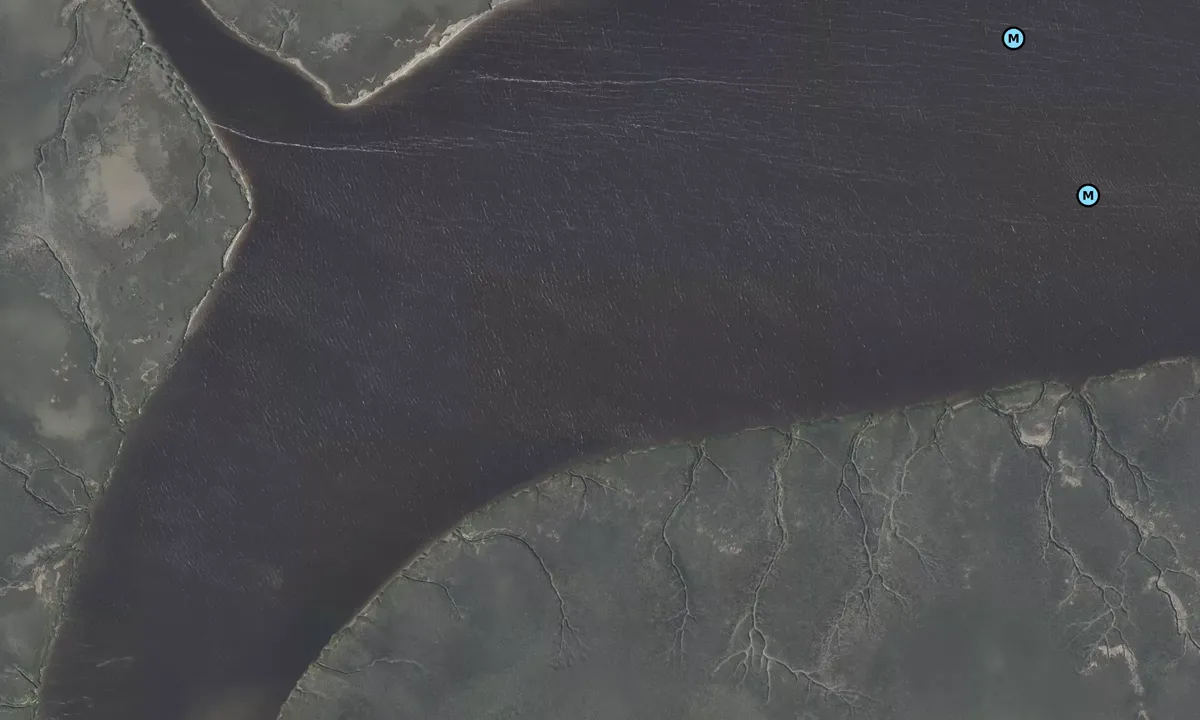 Satelite image of New River 2