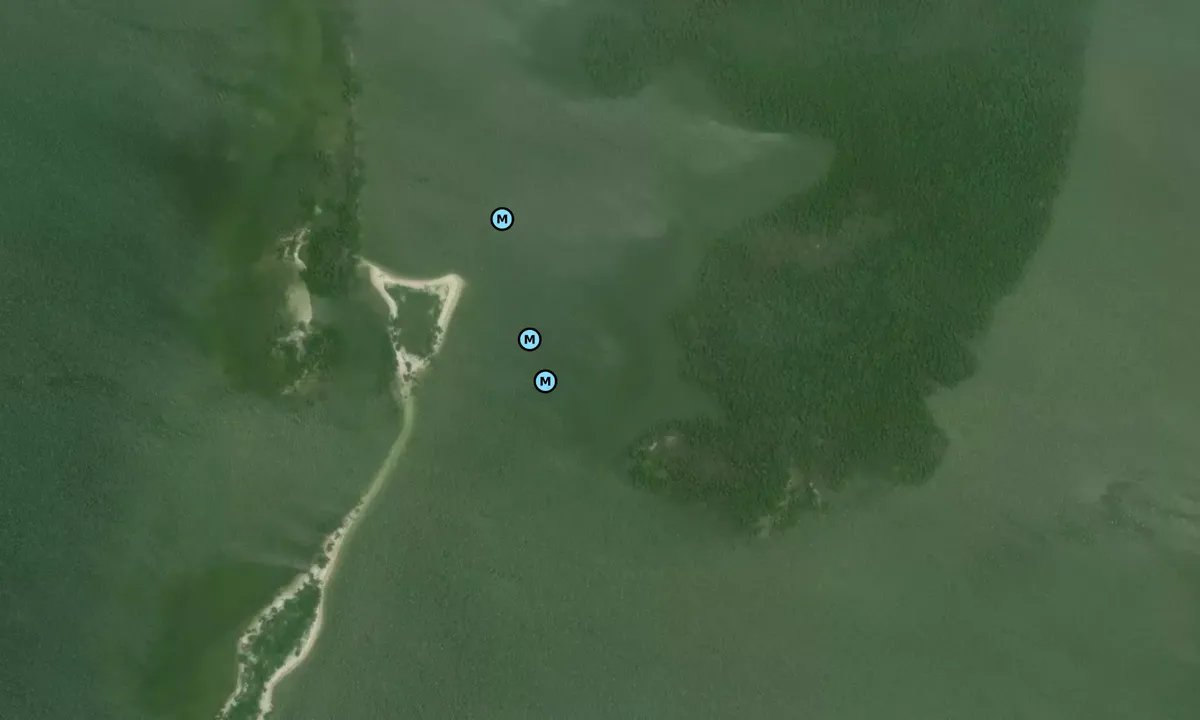 Satelite image of New Turkey Key AKA Snake Key