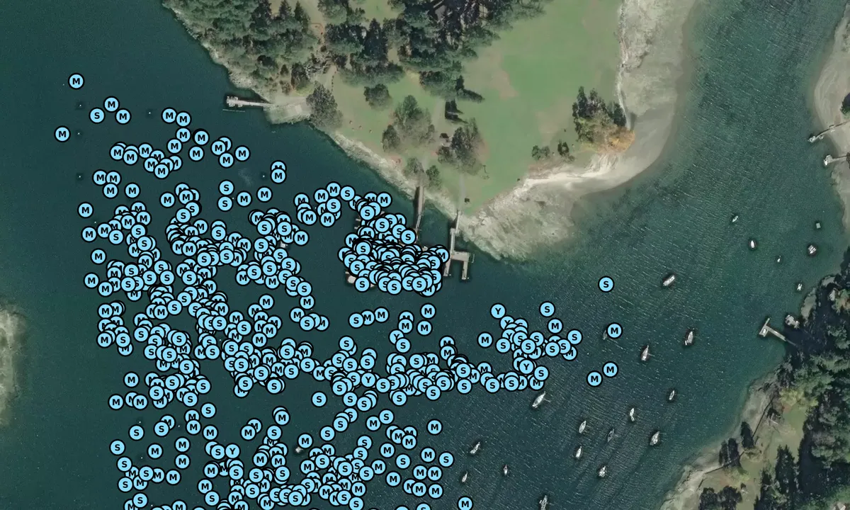 Satelite image of Newcastle Island Marine Park