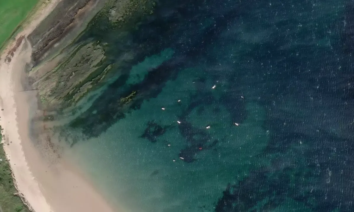 Satelite image of Newton Haven