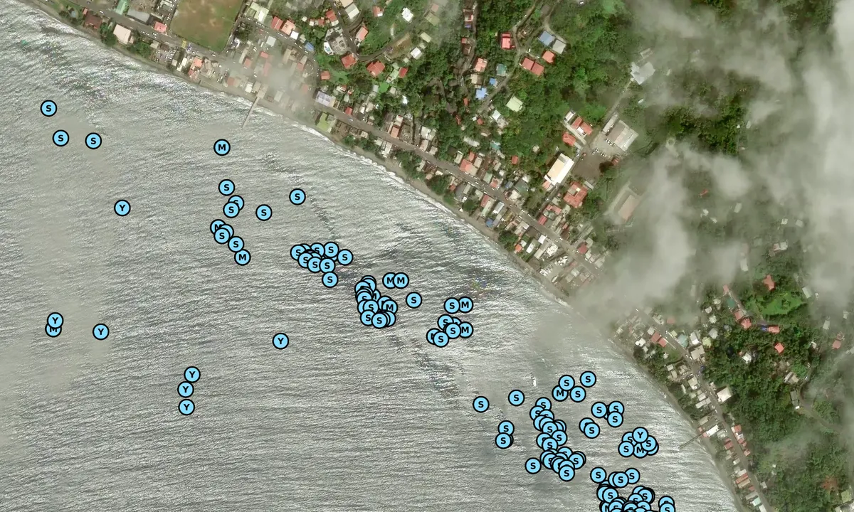 Satelite image of Newtown - Roseau