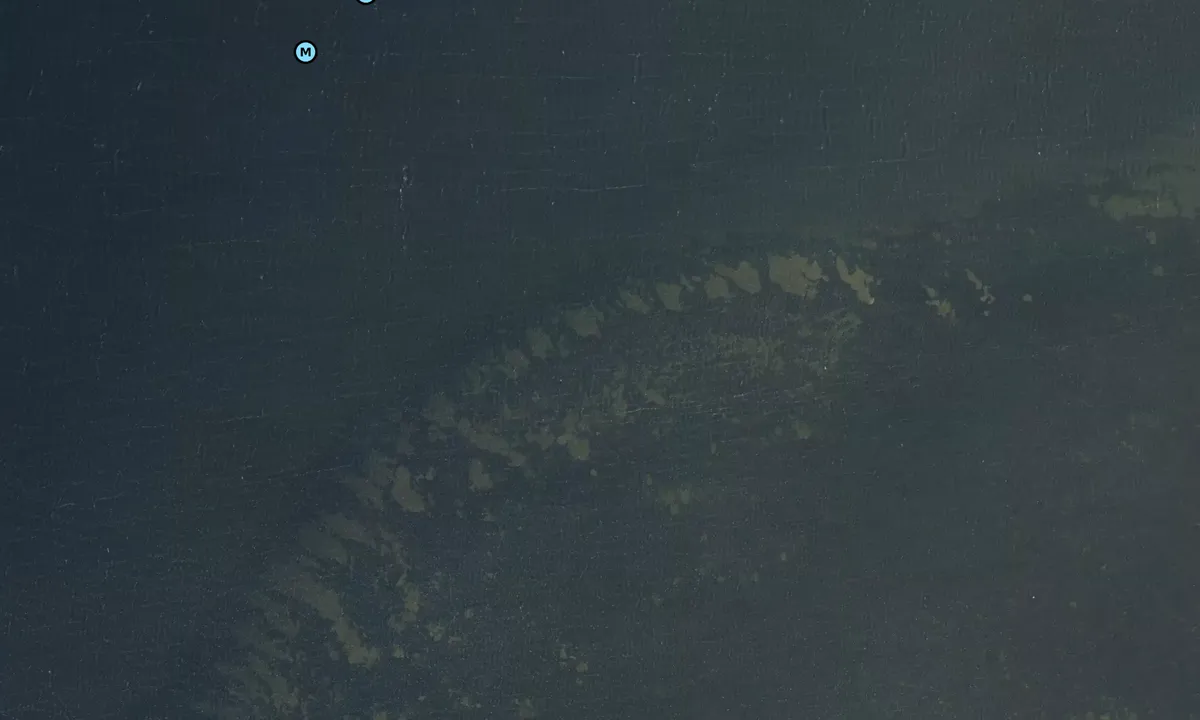 Satelite image of Nibe Bredning bouy