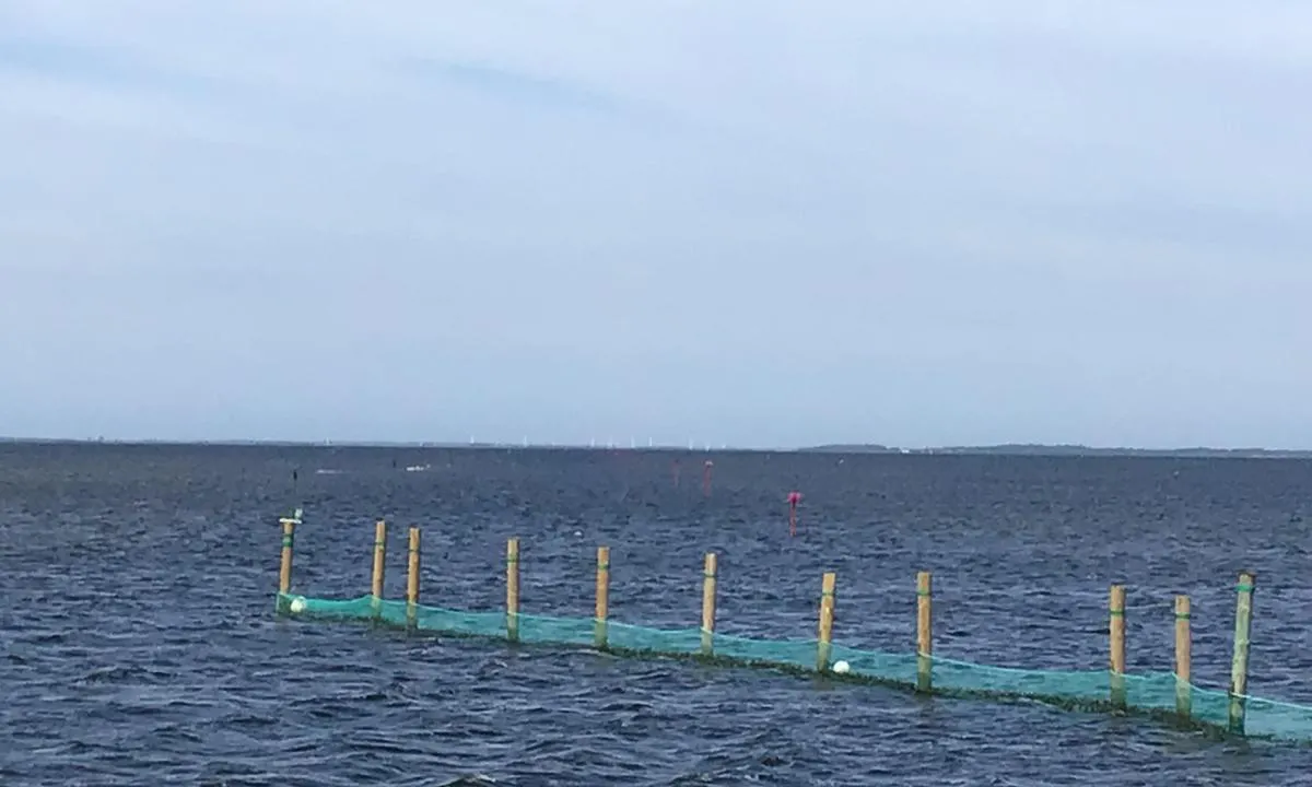 Nibe Lystbådehavn: {"base": "en", "no": "Kanalen til havnen er merket med r\u00f8de og gr\u00f8nne markeringer.", "se": "Kanalen till hamnen \u00e4r markerad med r\u00f6da och gr\u00f6na m\u00e4rken.", "en": "The channel to the harbour marked with red and green markers.", "da": "Kanalen til havnen er markeret med r\u00f8de og gr\u00f8nne m\u00e6rker.", "fr": "Le chenal vers le port est marqu\u00e9 par des balises rouges et vertes.", "de": "Der Kanal zum Hafen ist mit roten und gr\u00fcnen Markierungen gekennzeichnet.", "es": "El canal hacia el puerto est\u00e1 marcado con boyas rojas y verdes.", "it": "Il canale per il porto \u00e8 segnalato con boe rosse e verdi.", "pt": "O canal para o porto est\u00e1 marcado com balizas vermelhas e verdes.", "nl": "Het kanaal naar de haven is gemarkeerd met rode en groene markeringen.", "pl": "Kana\u0142 do portu oznaczony czerwonymi i zielonymi boiami.", "uk": "\u041a\u0430\u043d\u0430\u043b \u0434\u043e \u0433\u0430\u0432\u0430\u043d\u0456 \u043f\u043e\u0437\u043d\u0430\u0447\u0435\u043d\u0438\u0439 \u0447\u0435\u0440\u0432\u043e\u043d\u0438\u043c\u0438 \u0442\u0430 \u0437\u0435\u043b\u0435\u043d\u0438\u043c\u0438 \u043c\u0430\u0440\u043a\u0435\u0440\u0430\u043c\u0438.", "ro": "Canalul c\u0103tre port este marcat cu balize ro\u0219ii \u0219i verzi.", "tr": "Limana giden kanal k\u0131rm\u0131z\u0131 ve ye\u015fil i\u015faretlerle belirtilmi\u015ftir.", "el": "\u03a4\u03bf \u03ba\u03b1\u03bd\u03ac\u03bb\u03b9 \u03c0\u03c1\u03bf\u03c2 \u03c4\u03bf \u03bb\u03b9\u03bc\u03ac\u03bd\u03b9 \u03c3\u03b7\u03bc\u03b5\u03b9\u03ce\u03bd\u03b5\u03c4\u03b1\u03b9 \u03bc\u03b5 \u03ba\u03cc\u03ba\u03ba\u03b9\u03bd\u03bf\u03c5\u03c2 \u03ba\u03b1\u03b9 \u03c0\u03c1\u03ac\u03c3\u03b9\u03bd\u03bf\u03c5\u03c2 \u03c3\u03b7\u03bc\u03b1\u03b4\u03bf\u03cd\u03c1\u03b5\u03c2.", "cs": "Kan\u00e1l do p\u0159\u00edstavu je ozna\u010den \u010derven\u00fdmi a zelen\u00fdmi b\u00f3jemi.", "hu": "A kik\u00f6t\u0151h\u00f6z vezet\u0151 csatorna piros \u00e9s z\u00f6ld jelz\u0151b\u00f3j\u00e1kkal van megjel\u00f6lve.", "fi": "V\u00e4yl\u00e4 satamaan merkitty punaisilla ja vihreill\u00e4 merkeill\u00e4.", "bg": "\u041a\u0430\u043d\u0430\u043b\u044a\u0442 \u043a\u044a\u043c \u043f\u0440\u0438\u0441\u0442\u0430\u043d\u0438\u0449\u0435\u0442\u043e \u0435 \u043c\u0430\u0440\u043a\u0438\u0440\u0430\u043d \u0441 \u0447\u0435\u0440\u0432\u0435\u043d\u0438 \u0438 \u0437\u0435\u043b\u0435\u043d\u0438 \u043c\u0430\u0440\u043a\u0435\u0440\u0438.", "sr": "Kanal do luke ozna\u010den je crvenim i zelenim oznakama.", "et": "Kanal sadamasse on m\u00e4rgitud punaste ja roheliste m\u00e4rgistega.", "lv": "Kan\u0101ls uz ostu ir iez\u012bm\u0113ts ar sarkaniem un za\u013ciem mar\u0137ieriem.", "lt": "Kanalas \u012f uost\u0105 pa\u017eym\u0117tas raudonais ir \u017ealiais \u017eenklais."}