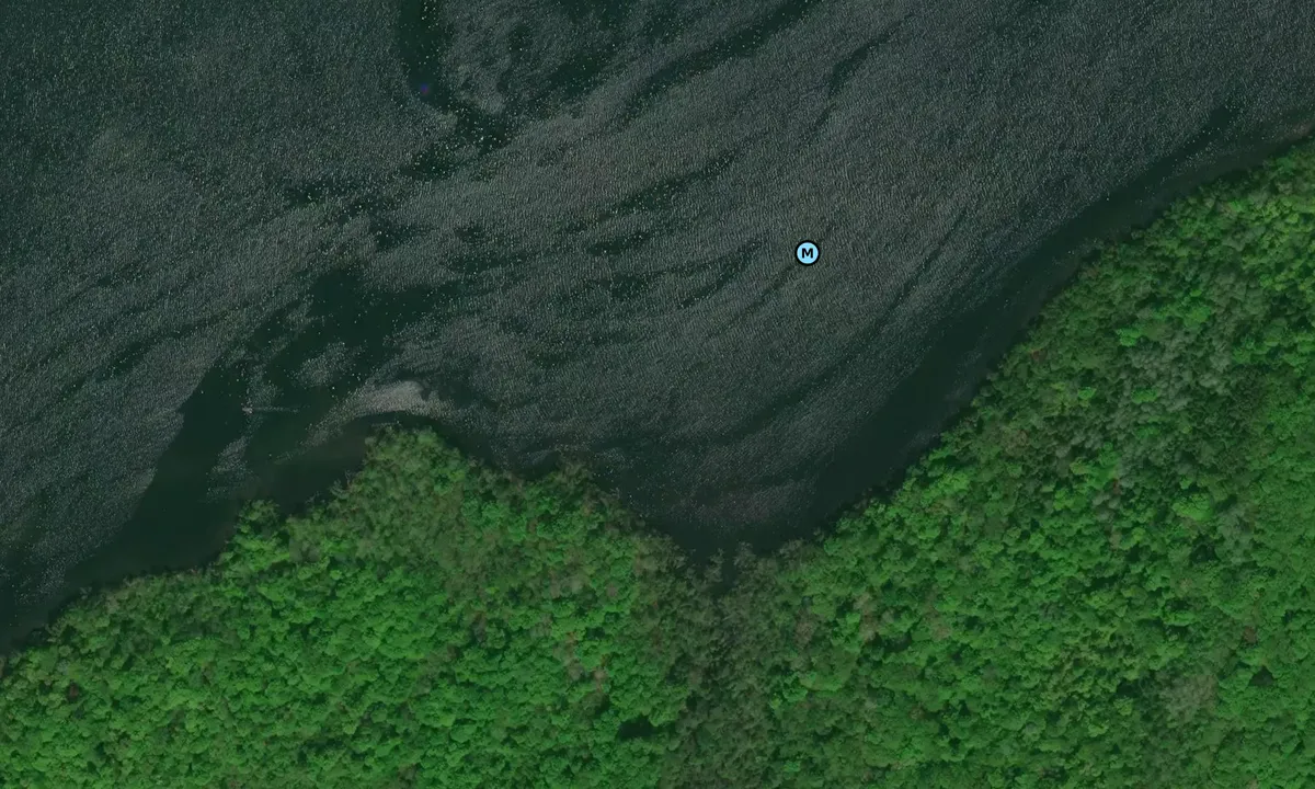 Satelite image of Nice spot