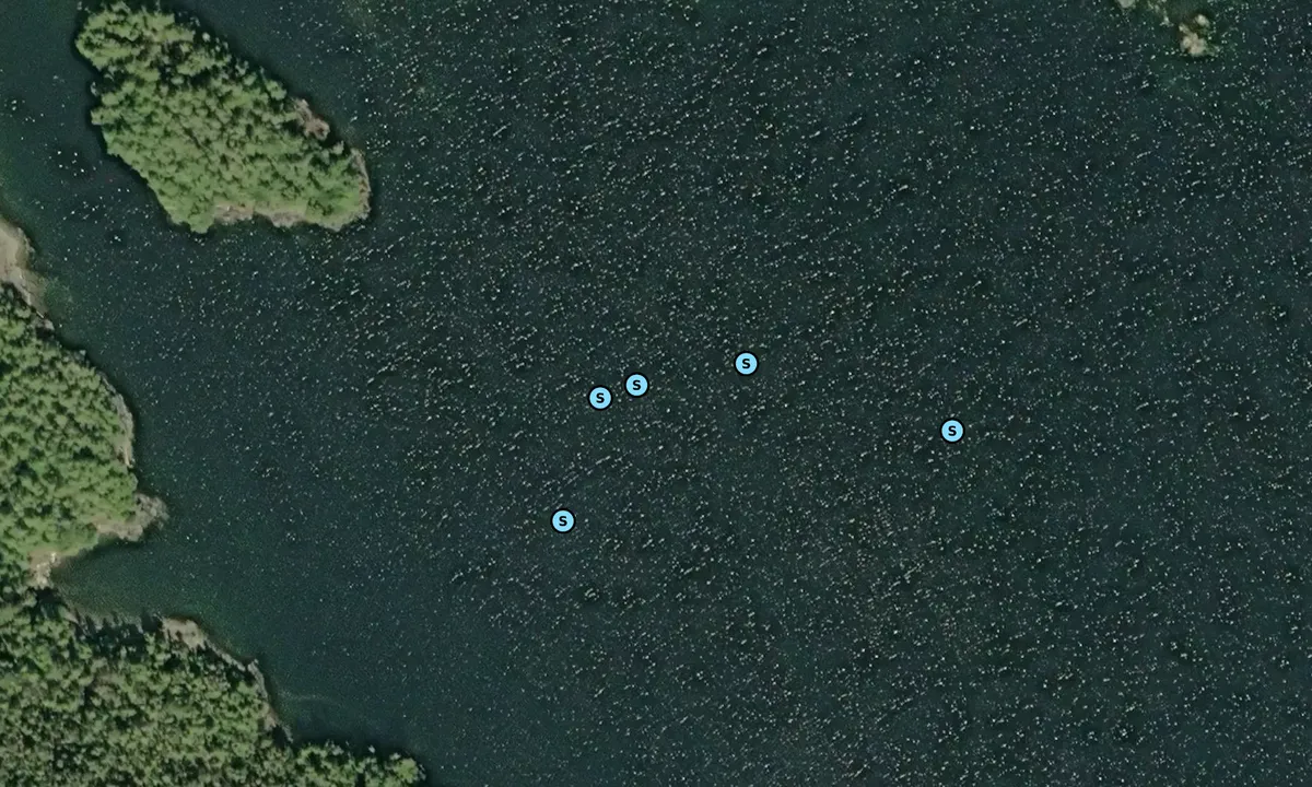 Satelite image of Nichols Bay - South