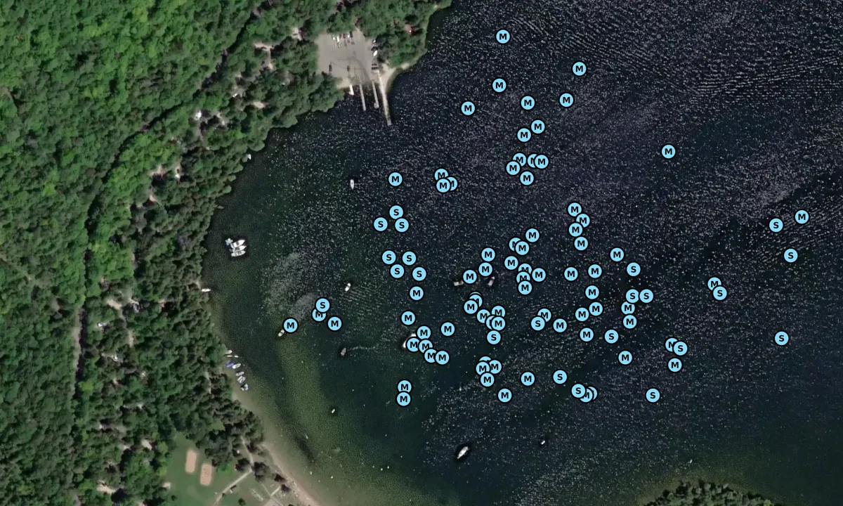 Satelite image of Nicolet Bay