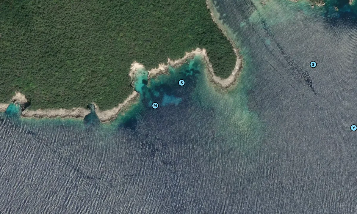 Satelite image of Nidisa