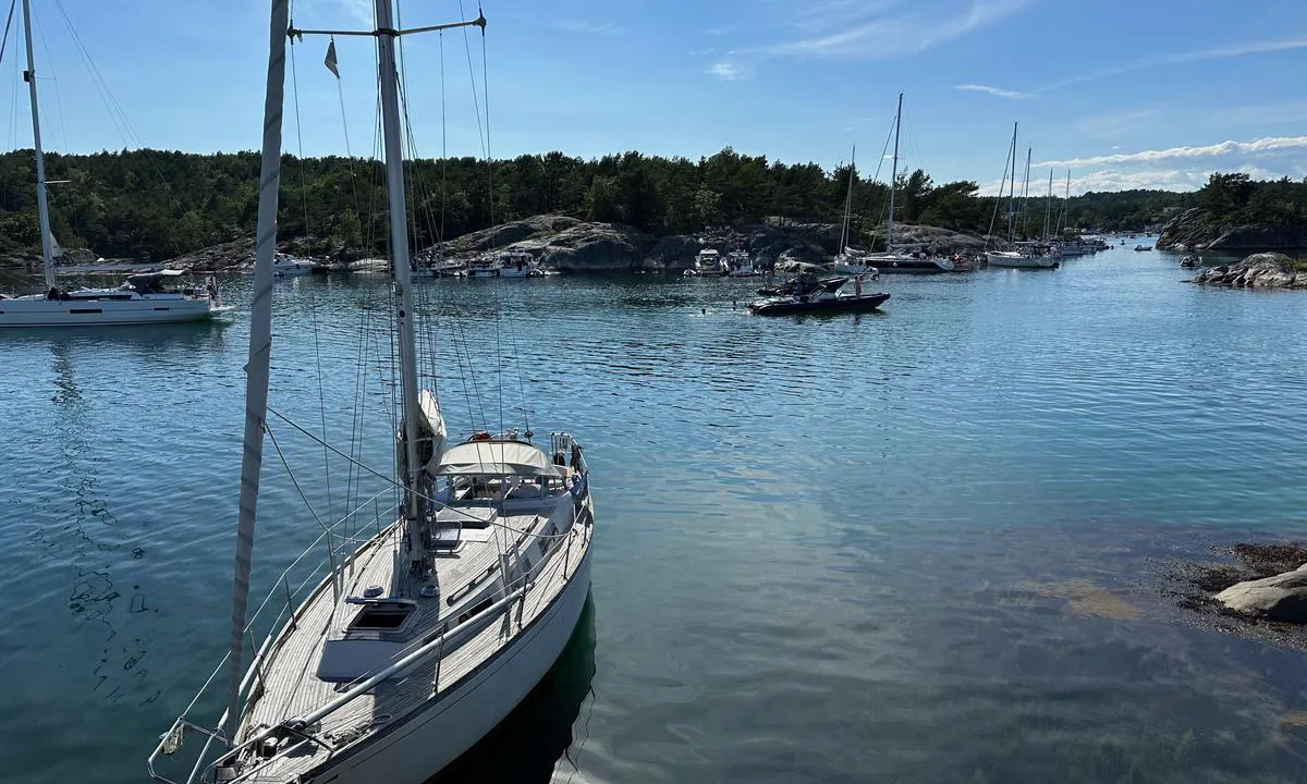 Nilen: Fra Øygholmen mot nord-vest.