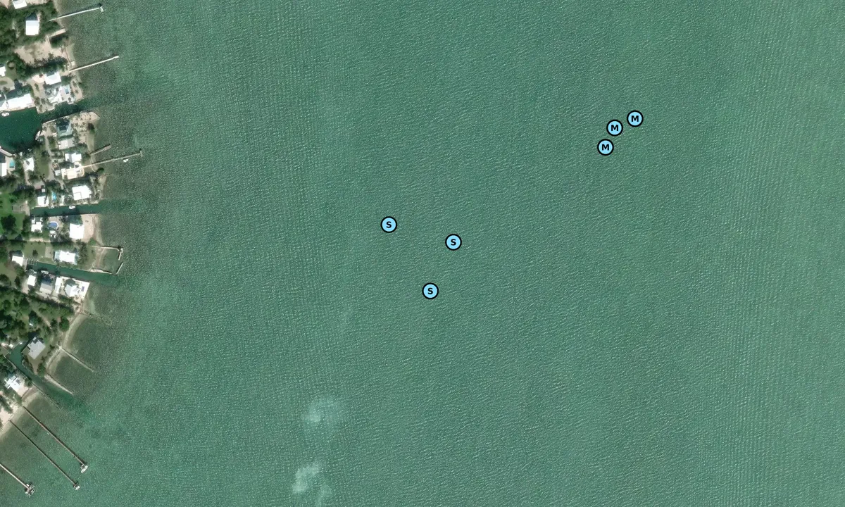 Satelite image of Niles Channel Entrance
