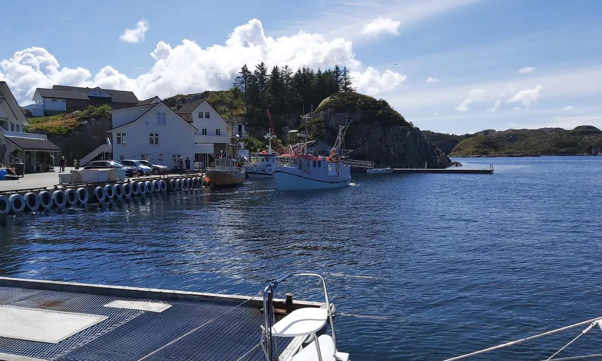 A.L. Waage Landhandel: Fiskebåter som leverer fangsten ved fiskemottaket.