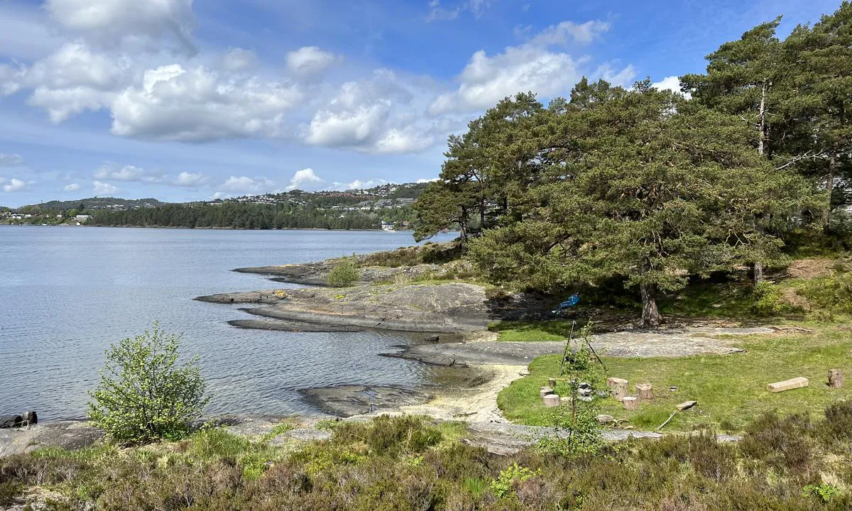 Nordåsvannet Marmorøyene: Flere fine lune viker.