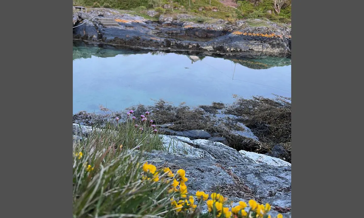 Nordre Kjerringa, Rongevær Kysthytte (DNT, Bergen: Badevik