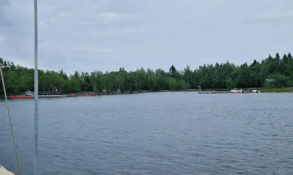 Norrbyskär kalmarn: {"base": "en", "no": "Gjestehavn ligger p\u00e5 \u00f8stsiden av bukten.", "se": "G\u00e4sthamn ligger p\u00e5 \u00f6stra sidan av viken.", "en": "Gasthamn is on the East side of the bay.", "da": "Gasthavn ligger p\u00e5 \u00f8stsiden af bugten.", "fr": "Le port de plaisance se trouve sur le c\u00f4t\u00e9 est de la baie.", "de": "Der G\u00e4stehafen befindet sich auf der Ostseite der Bucht.", "es": "Gasthamn est\u00e1 en el lado este de la bah\u00eda.", "it": "Gasthamn si trova sul lato est della baia.", "pt": "Gasthamn est\u00e1 no lado leste da ba\u00eda.", "nl": "Gasthamn ligt aan de oostzijde van de baai.", "pl": "Gasthamn znajduje si\u0119 po wschodniej stronie zatoki.", "uk": "\u0413\u043e\u0441\u0442\u044c\u043e\u0432\u0438\u0439 \u043f\u043e\u0440\u0442 \u0437\u043d\u0430\u0445\u043e\u0434\u0438\u0442\u044c\u0441\u044f \u043d\u0430 \u0441\u0445\u0456\u0434\u043d\u043e\u043c\u0443 \u0431\u043e\u0446\u0456 \u0437\u0430\u0442\u043e\u043a\u0438.", "ro": "Portul de oaspe\u021bi este pe partea de est a golfului.", "tr": "Gasthamn, koyun do\u011fu taraf\u0131ndad\u0131r.", "el": "\u0397 \u039c\u03b1\u03c1\u03af\u03bd\u03b1 \u0395\u03c0\u03b9\u03c3\u03ba\u03b5\u03c0\u03c4\u03ce\u03bd \u03b2\u03c1\u03af\u03c3\u03ba\u03b5\u03c4\u03b1\u03b9 \u03c3\u03c4\u03b7\u03bd \u03b1\u03bd\u03b1\u03c4\u03bf\u03bb\u03b9\u03ba\u03ae \u03c0\u03bb\u03b5\u03c5\u03c1\u03ac \u03c4\u03bf\u03c5 \u03ba\u03cc\u03bb\u03c0\u03bf\u03c5.", "cs": "Gasthamn je na v\u00fdchodn\u00ed stran\u011b z\u00e1livu.", "hu": "A vend\u00e9gkik\u00f6t\u0151 az \u00f6b\u00f6l keleti oldal\u00e1n tal\u00e1lhat\u00f3.", "fi": "Satamavieras on lahden it\u00e4puolella.", "bg": "Gasthamn \u0435 \u043d\u0430 \u0438\u0437\u0442\u043e\u0447\u043d\u0430\u0442\u0430 \u0441\u0442\u0440\u0430\u043d\u0430 \u043d\u0430 \u0437\u0430\u043b\u0438\u0432\u0430.", "sr": "Gasthamn je na isto\u010dnoj strani zaliva.", "et": "Gasthamn asub lahe idak\u00fcljel.", "lv": "Gasthamn atrodas l\u012b\u010da austrumu pus\u0113.", "lt": "Gasthamn yra rytin\u0117je \u012flankos pus\u0117je."}