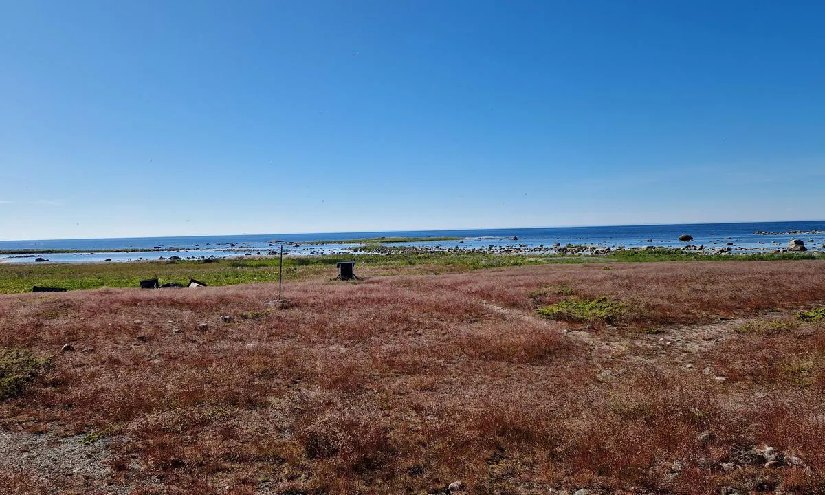 Norrskär - Vasa: {"base": "en", "no": "Sonen er full av skj\u00e6r. F\u00f8lg n\u00f8ye med p\u00e5 kartene dine.", "se": "Zonen \u00e4r full av stenar. H\u00e5ll noga uppsikt p\u00e5 dina sj\u00f6kort.", "en": "The zone is full of rocks. Keep a detailed attention to you charts.", "da": "Zonen er fuld af klipper. Hold n\u00f8je \u00f8je med dine s\u00f8kort.", "fr": "La zone est pleine de rochers. Faites tr\u00e8s attention \u00e0 vos cartes.", "de": "Die Zone ist voller Felsen. Achten Sie genau auf Ihre Seekarten.", "es": "La zona est\u00e1 llena de rocas. Preste mucha atenci\u00f3n a sus cartas n\u00e1uticas.", "it": "La zona \u00e8 piena di rocce. Prestate molta attenzione alle vostre carte nautiche.", "pt": "A zona est\u00e1 cheia de rochas. Mantenha uma aten\u00e7\u00e3o detalhada aos seus mapas n\u00e1uticos.", "nl": "De zone is vol met rotsen. Let goed op uw kaarten.", "pl": "Strefa jest pe\u0142na ska\u0142. Uwa\u017cnie analizuj swoje mapy.", "uk": "\u0417\u043e\u043d\u0430 \u043f\u043e\u0432\u043d\u0430 \u0441\u043a\u0435\u043b\u044c. \u0423\u0432\u0430\u0436\u043d\u043e \u0441\u043b\u0456\u0434\u043a\u0443\u0439\u0442\u0435 \u0437\u0430 \u0432\u0430\u0448\u0438\u043c\u0438 \u043a\u0430\u0440\u0442\u0430\u043c\u0438.", "ro": "Zona este plin\u0103 de st\u00e2nci. Acorda\u021bi o aten\u021bie detaliat\u0103 h\u0103r\u021bilor dvs.", "tr": "B\u00f6lge kayalarla dolu. Haritalar\u0131n\u0131za dikkatle dikkat edin.", "el": "\u0397 \u03b6\u03ce\u03bd\u03b7 \u03b5\u03af\u03bd\u03b1\u03b9 \u03b3\u03b5\u03bc\u03ac\u03c4\u03b7 \u03b2\u03c1\u03ac\u03c7\u03b9\u03b1. \u0394\u03ce\u03c3\u03c4\u03b5 \u03b9\u03b4\u03b9\u03b1\u03af\u03c4\u03b5\u03c1\u03b7 \u03c0\u03c1\u03bf\u03c3\u03bf\u03c7\u03ae \u03c3\u03c4\u03bf\u03c5\u03c2 \u03c7\u03ac\u03c1\u03c4\u03b5\u03c2 \u03c3\u03b1\u03c2.", "cs": "Z\u00f3na je pln\u00e1 skal. V\u011bnujte podrobnou pozornost sv\u00fdm map\u00e1m.", "hu": "A z\u00f3na tele van szikl\u00e1kkal. Figyelmesen k\u00f6vesse a t\u00e9rk\u00e9peket.", "fi": "Alue on t\u00e4ynn\u00e4 kivi\u00e4. Kiinnit\u00e4 erityist\u00e4 huomiota karttoihisi.", "bg": "\u0417\u043e\u043d\u0430\u0442\u0430 \u0435 \u043f\u044a\u043b\u043d\u0430 \u0441 \u043a\u0430\u043c\u044a\u043d\u0438. \u041e\u0431\u044a\u0440\u043d\u0435\u0442\u0435 \u043e\u0441\u043e\u0431\u0435\u043d\u043e \u0432\u043d\u0438\u043c\u0430\u043d\u0438\u0435 \u043d\u0430 \u0432\u0430\u0448\u0438\u0442\u0435 \u043a\u0430\u0440\u0442\u0438.", "sr": "Zona je puna stena. Obratite detaljnu pa\u017enju na va\u0161e karte.", "et": "Tsoon on t\u00e4is kaljusid. J\u00e4lgige hoolikalt oma kaarte.", "lv": "Zona ir pilna ar klint\u012bm. L\u016bdzu, r\u016bp\u012bgi iev\u0113rojiet savas kartes.", "lt": "Zonoje gausu uol\u0173. Atid\u017eiai steb\u0117kite savo \u017eem\u0117lapius."}