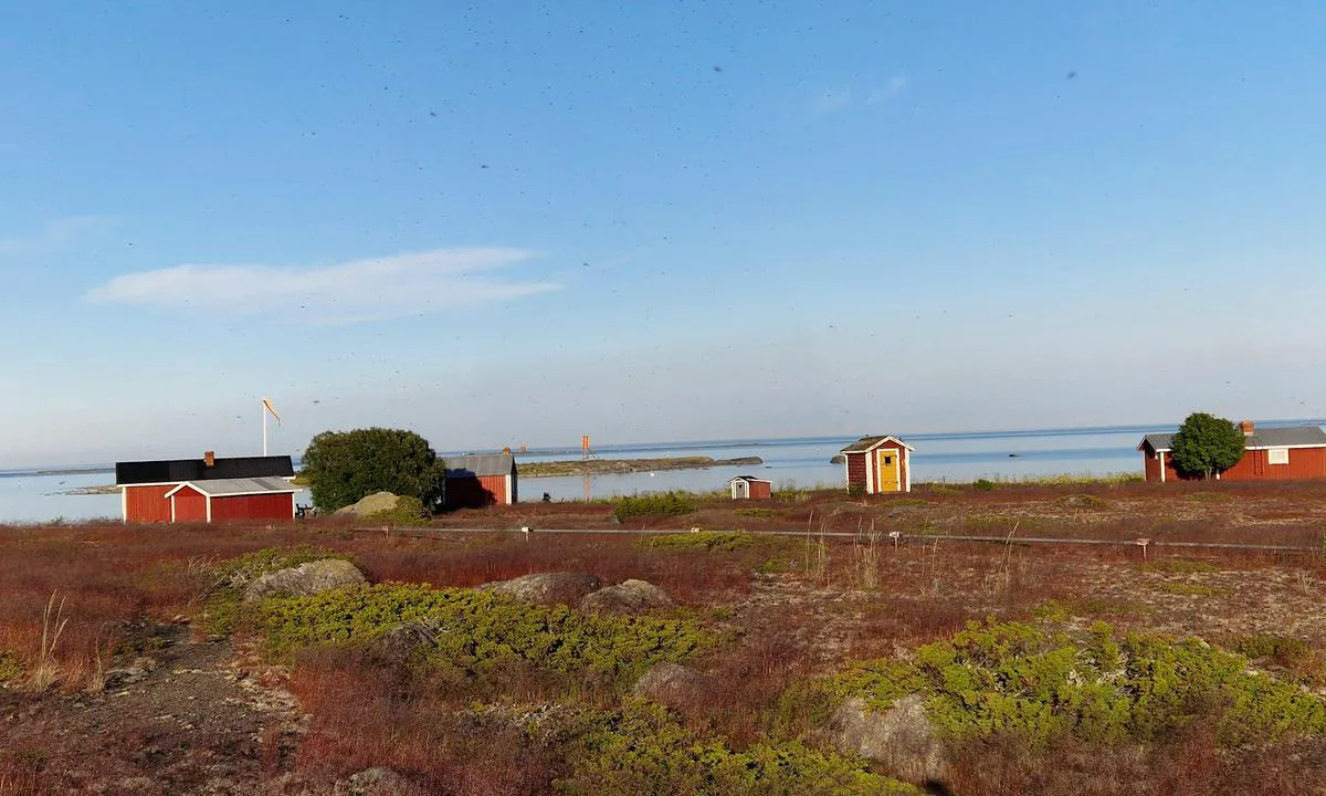 Norrskär - Vasa