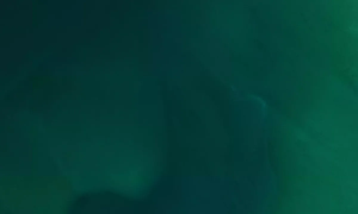 Satelite image of North Bay - Harbor View