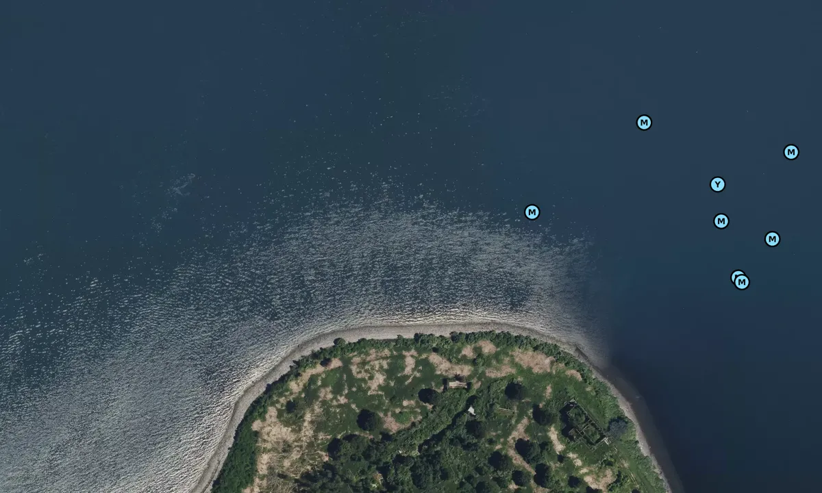 Satelite image of North Dutch Island (daytime).