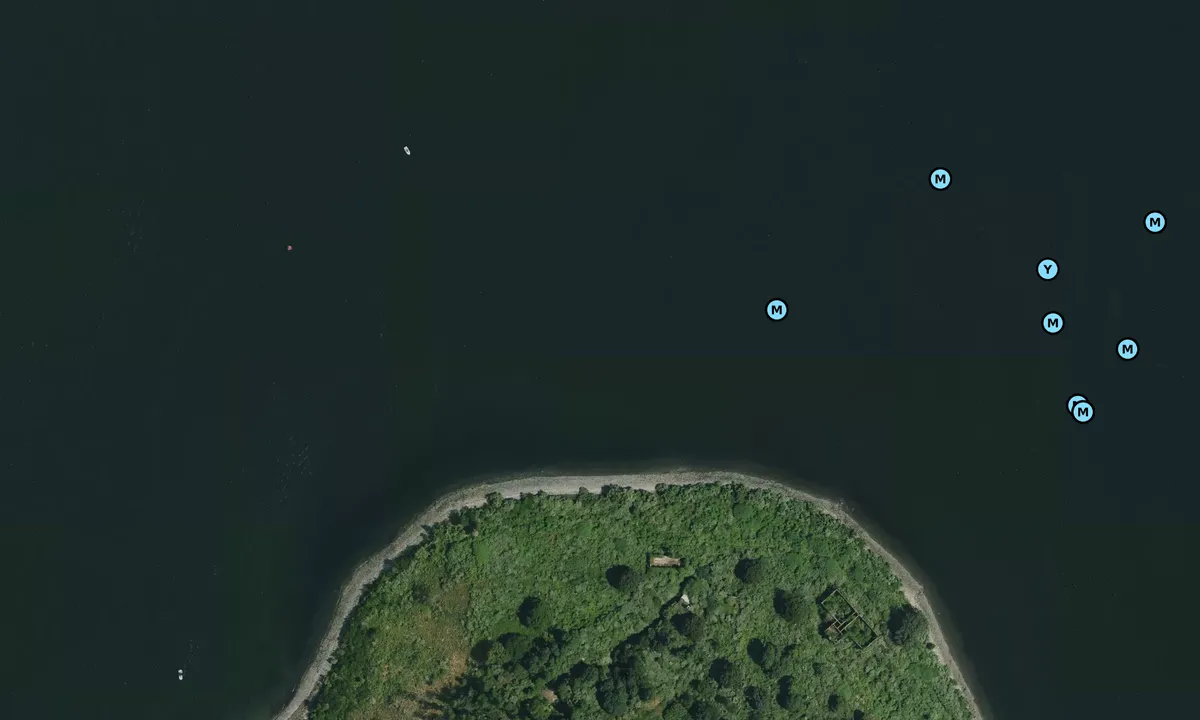 Satelite image of North Dutch Island (daytime).