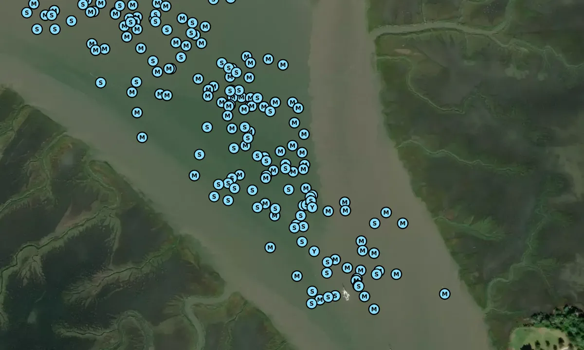 Satelite image of North Lanier Island