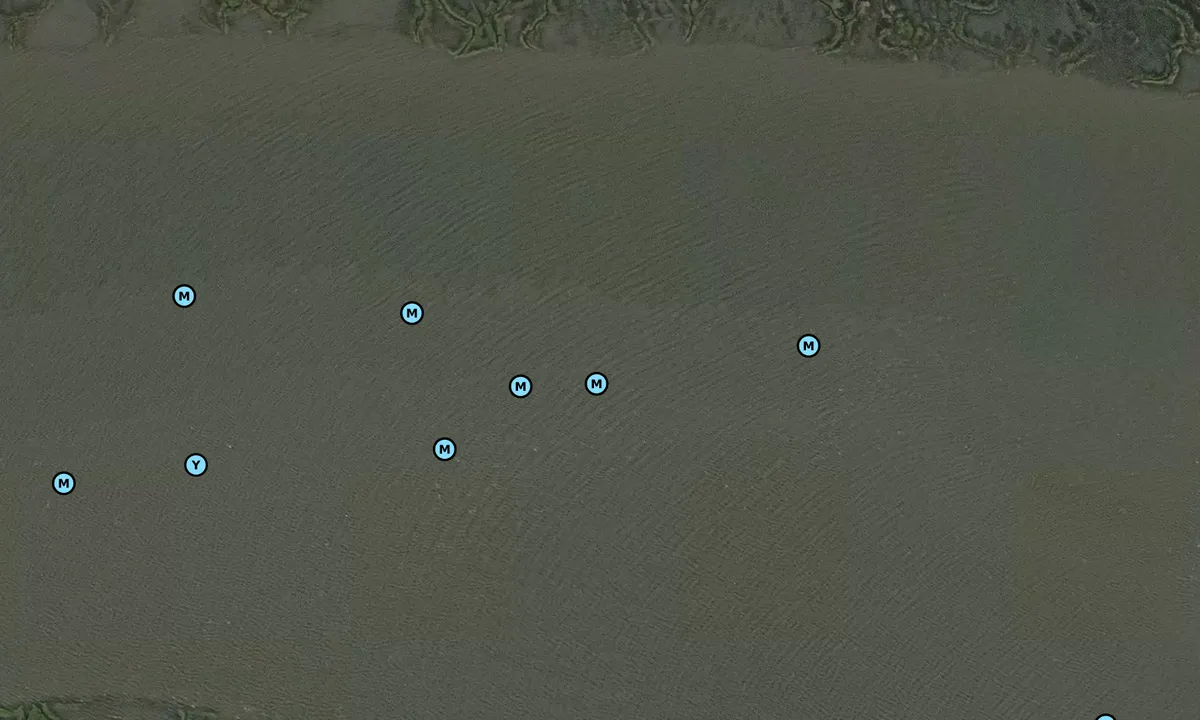 Satelite image of North Newport River - 2