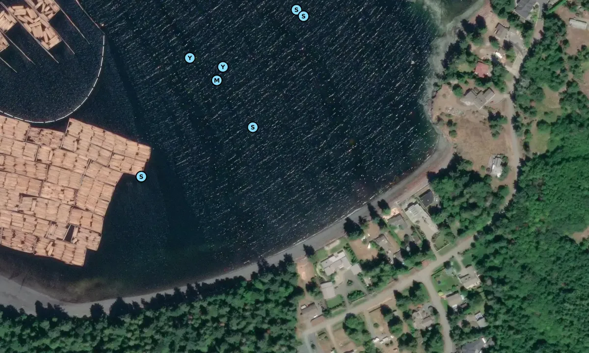 Satelite image of northwest bay