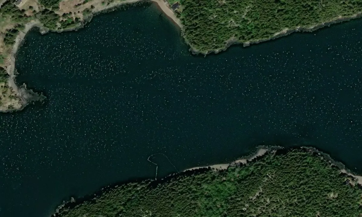 Satelite image of Northwest Harbor