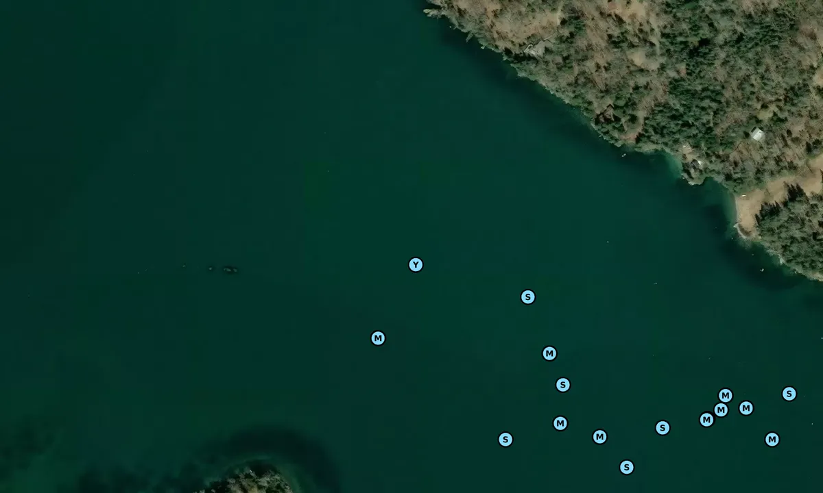 Satelite image of Northwest Harbor - Deer Isle