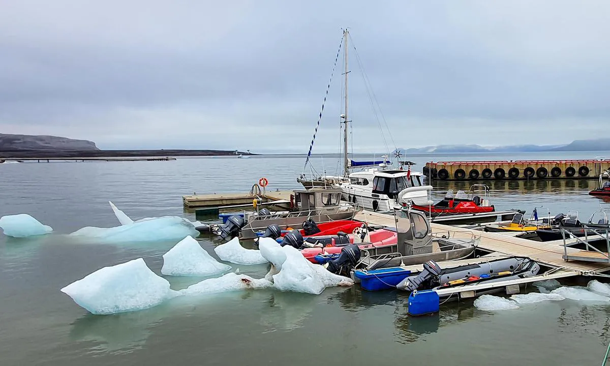 Ny Ålesund