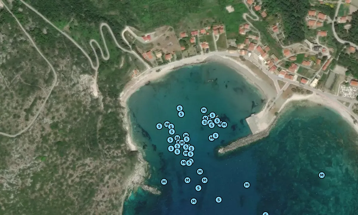 Satelite image of O. Ammou