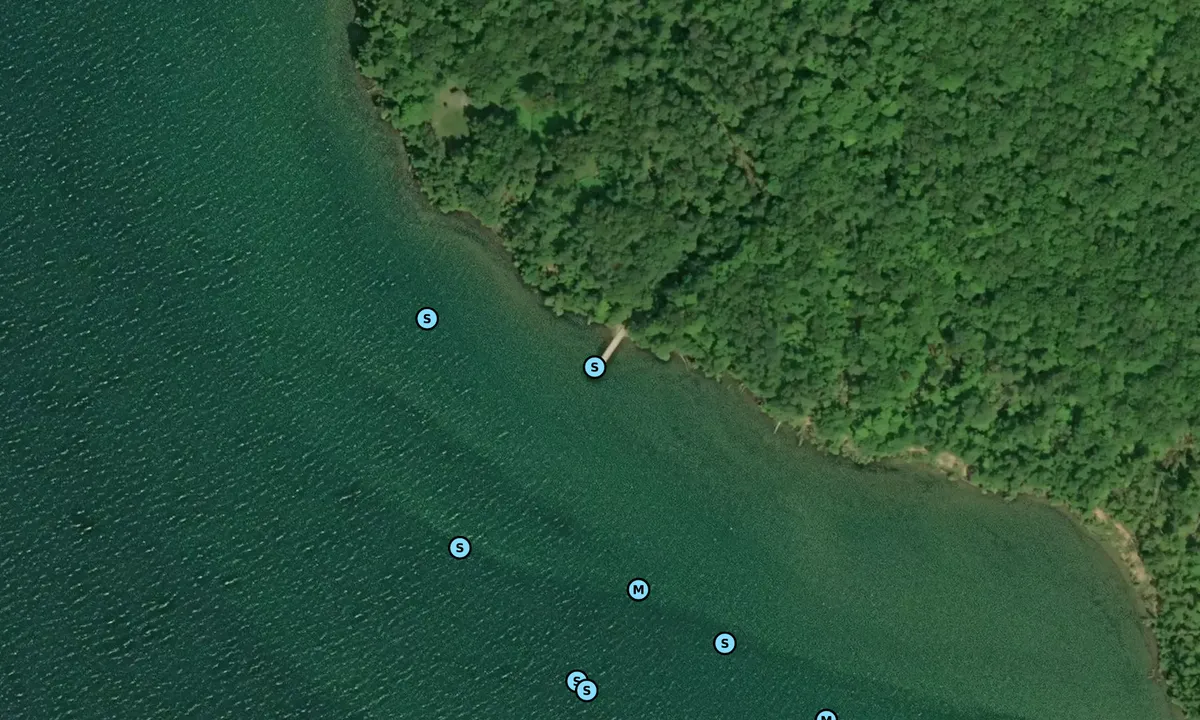 Satelite image of Oak Island (NPS dock)