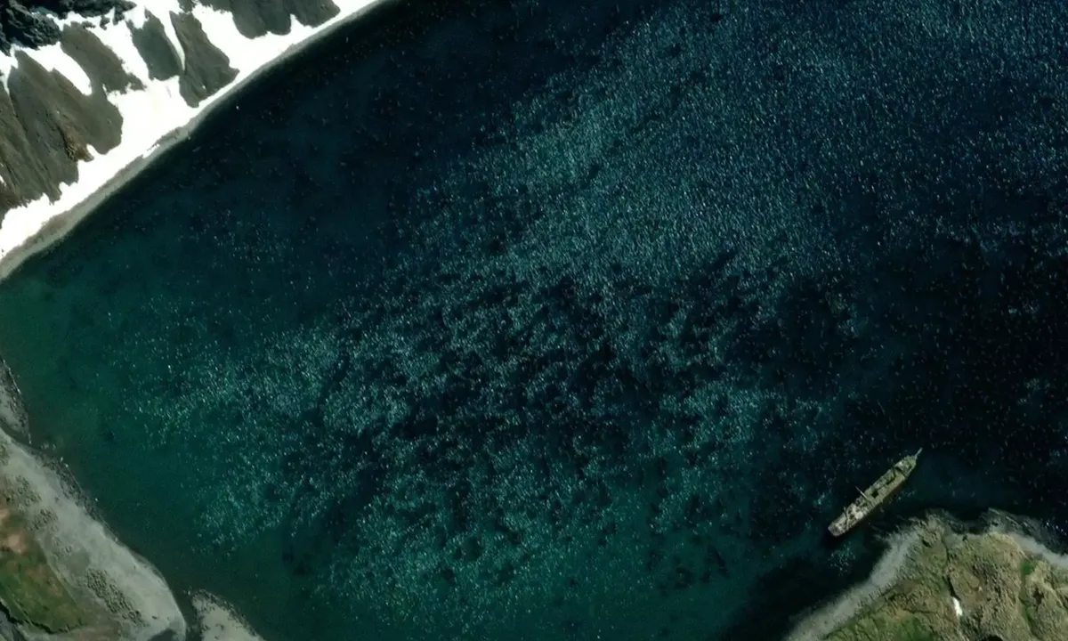 Satelite image of Ocean Harbour (New Fortuna Bay)