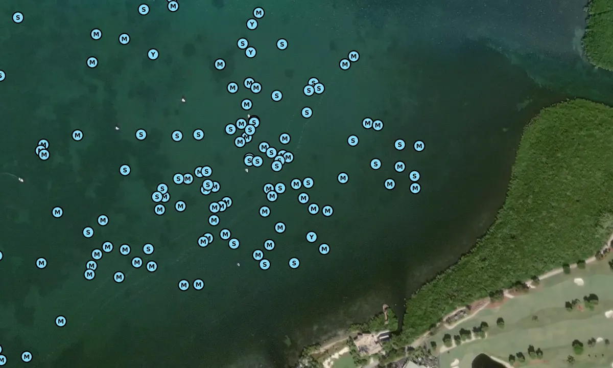 Satelite image of Ocean Reef