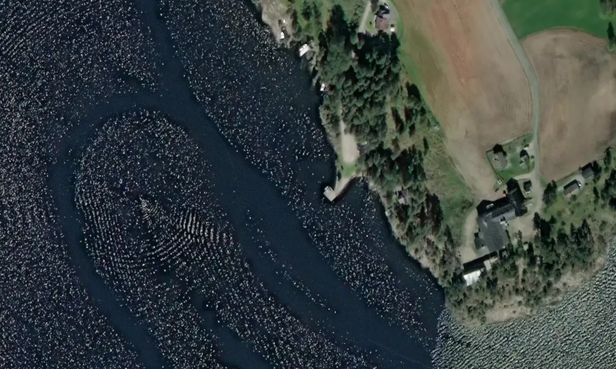 Satelite image of Odden Brygge