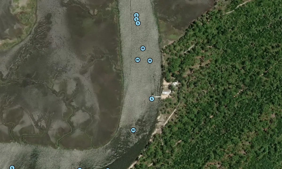 Satelite image of Odingsell/Wassaw Creek