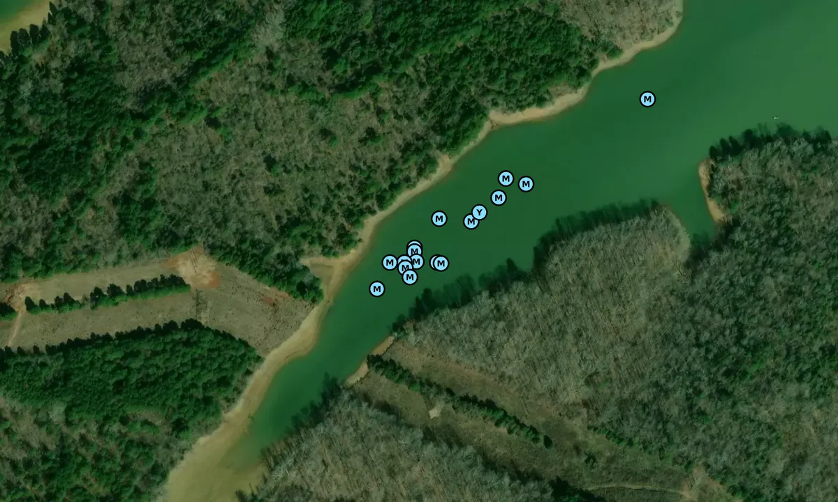 Satelite image of Old Dixie Cove