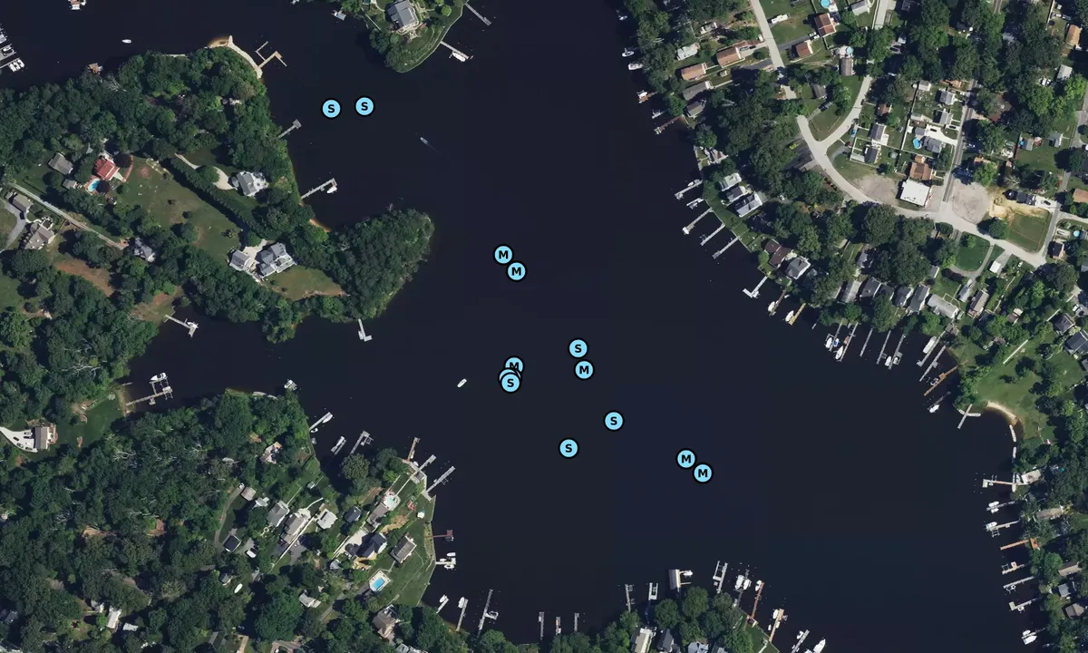 Satelite image of Old Man Creek