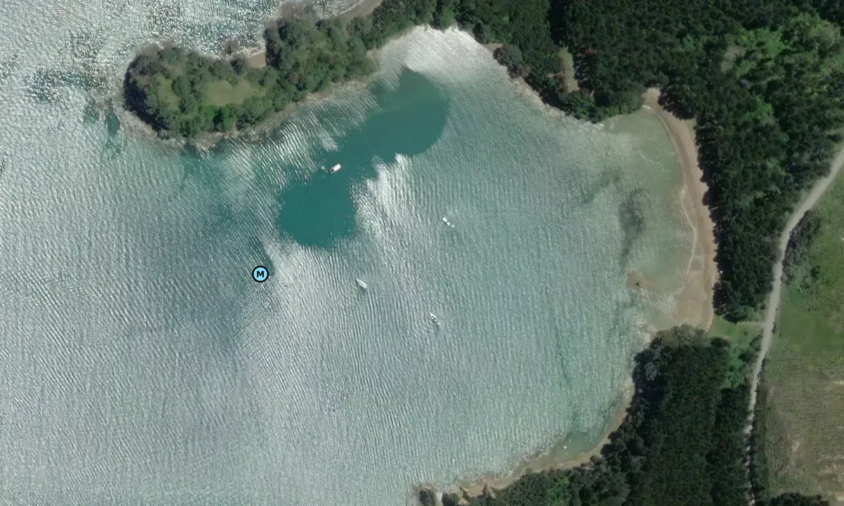 Satelite image of Omakiwi Cove 1