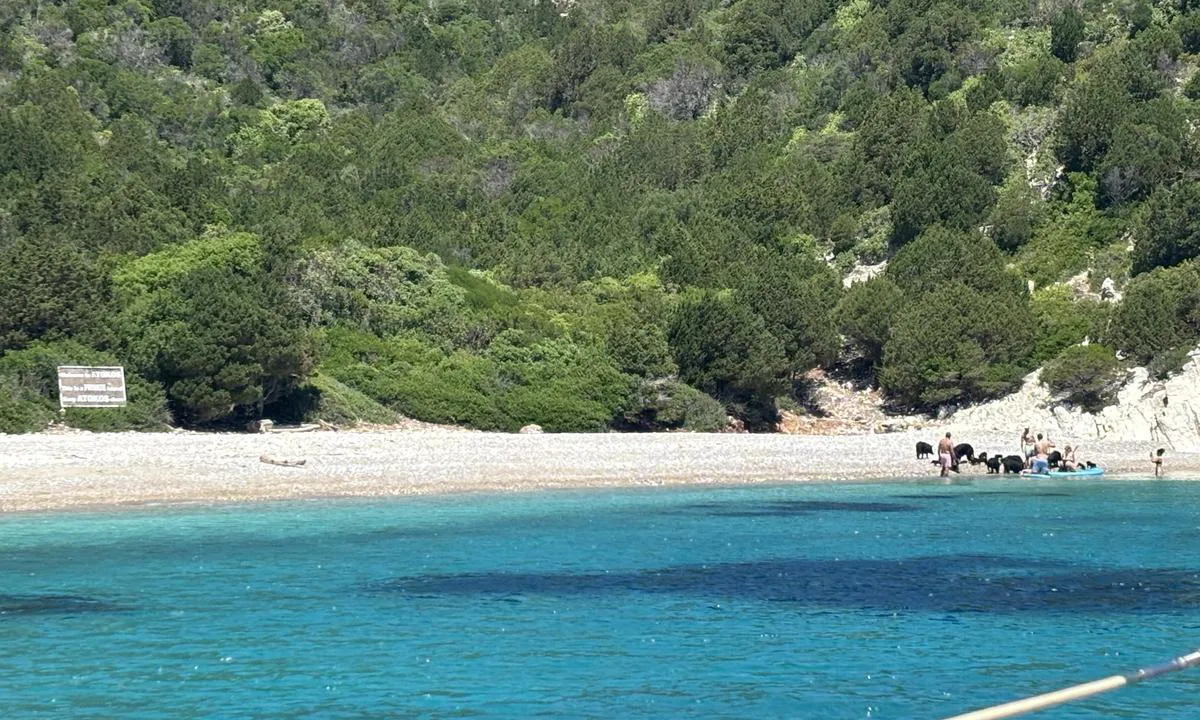 One house bay