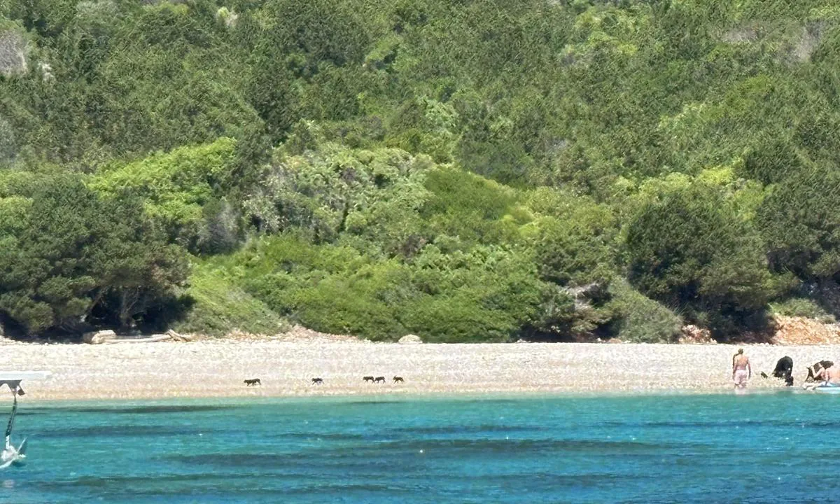 One house bay