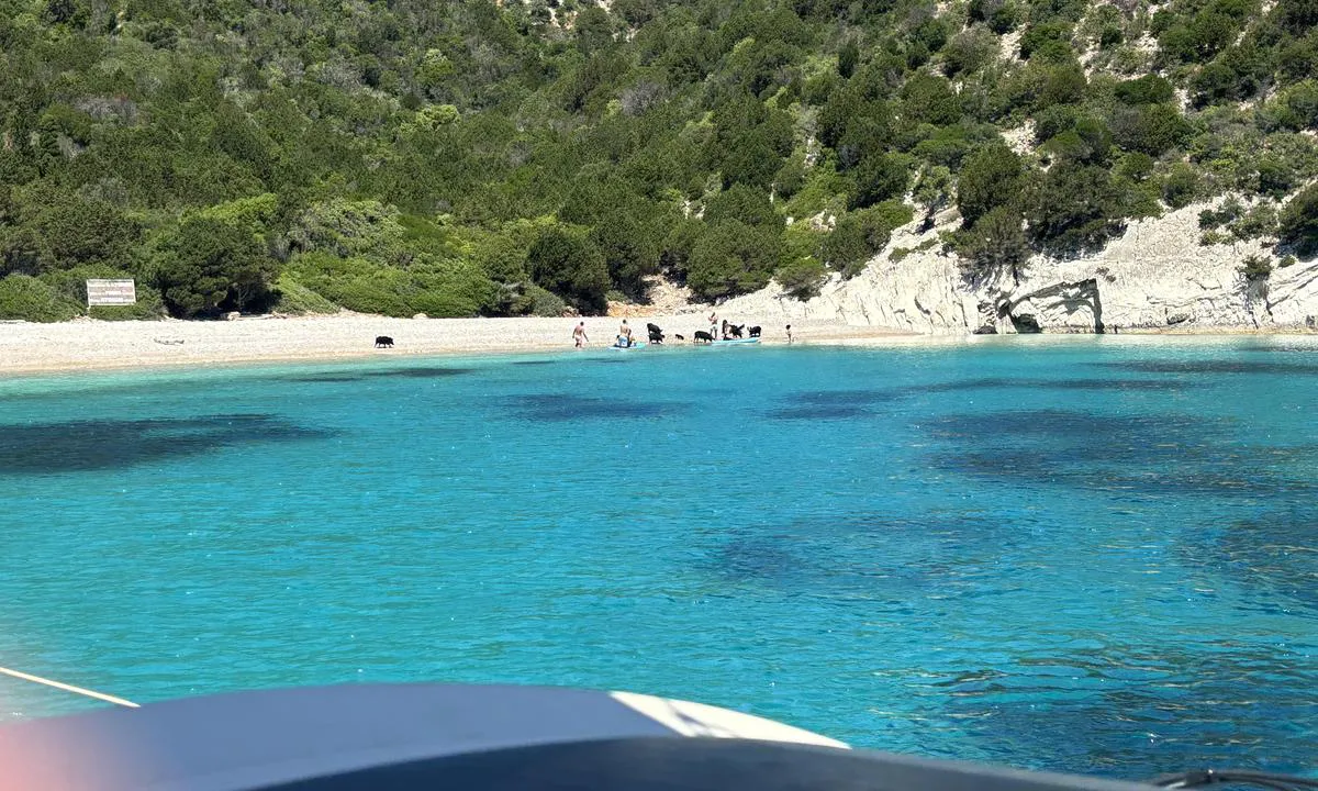 One house bay