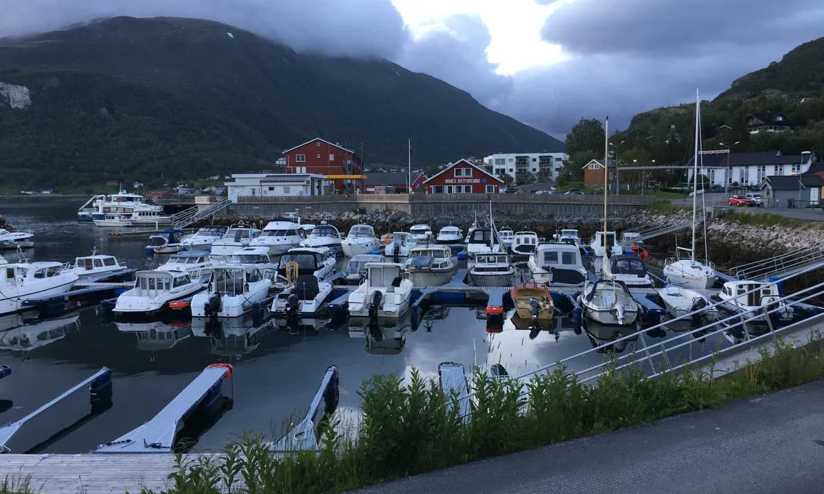 Lun og trivelig gjestehavn, noen få meter fra Sentrum av Ørnes.
Der får en det meste.