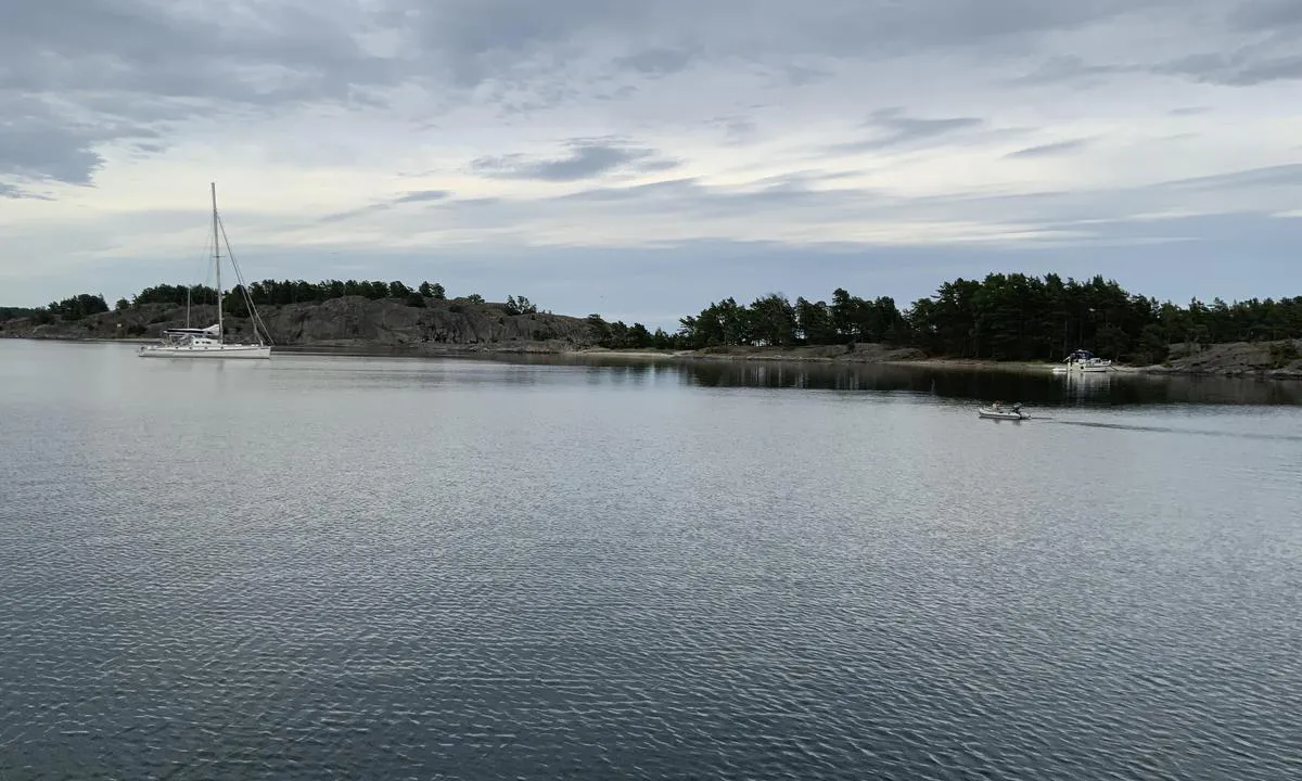 Östermarsfladen: Mot NV