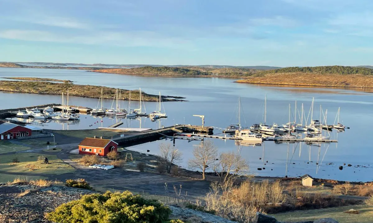 Morgensol på Østre. Februar 2021.