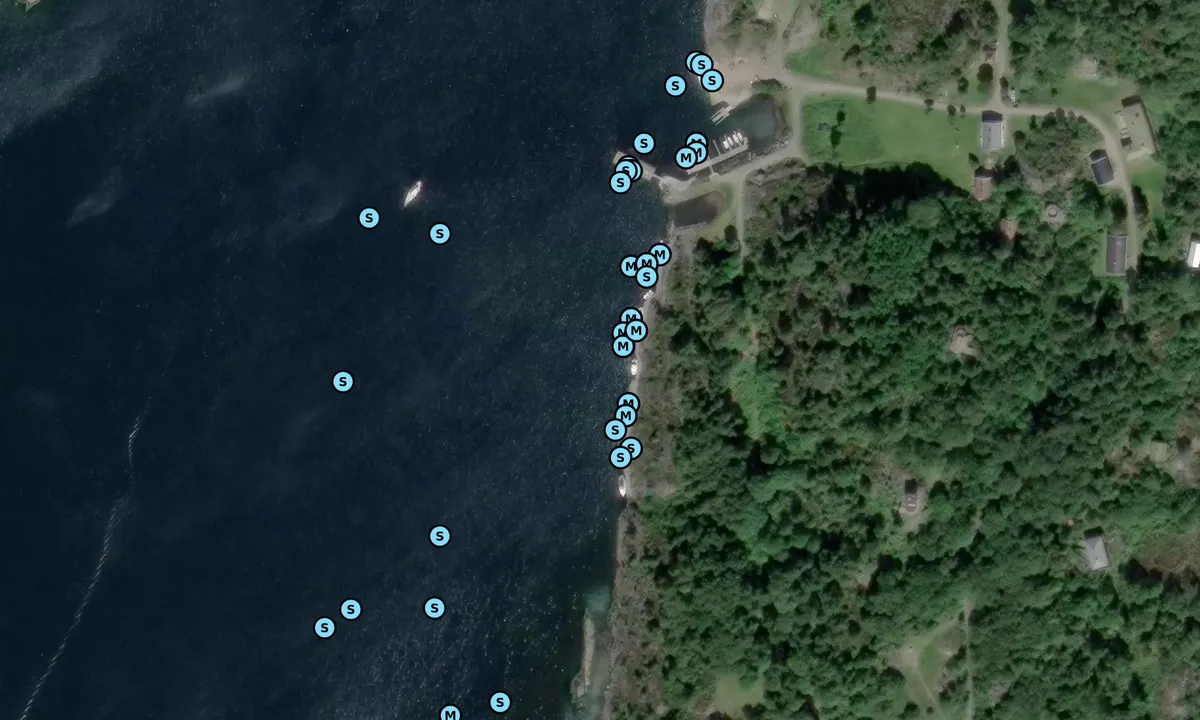 Satelite image of Østre Randøya