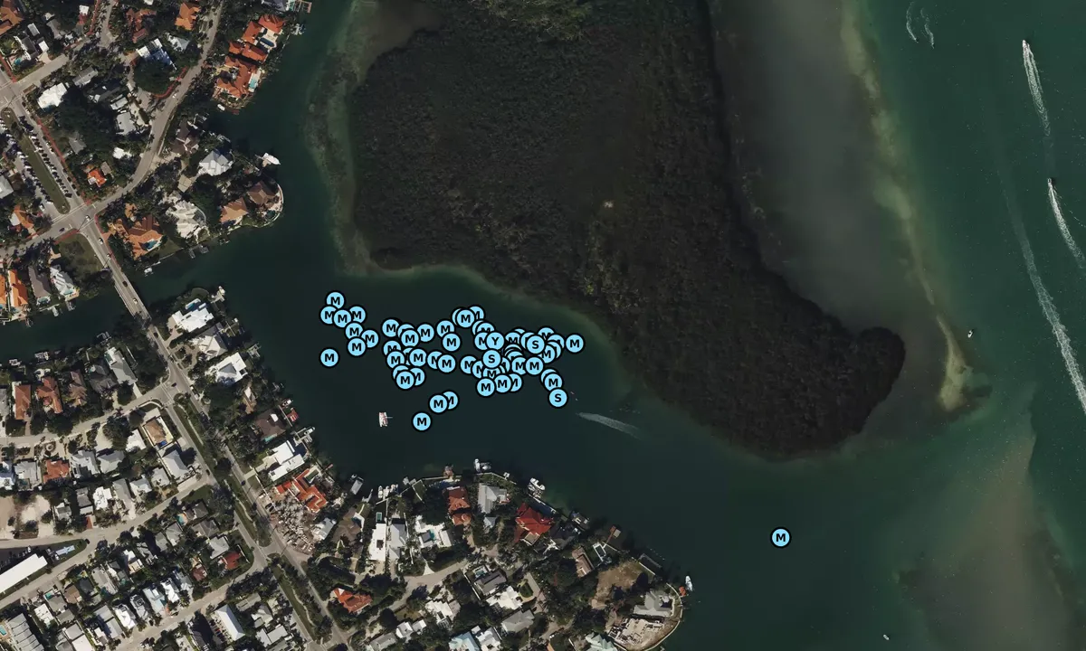 Satelite image of Otter Key