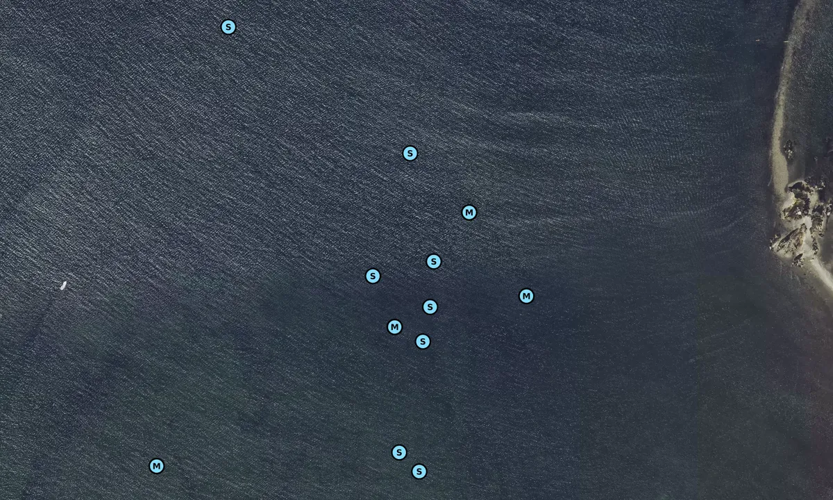 Satelite image of Outer Cohasset Harbor