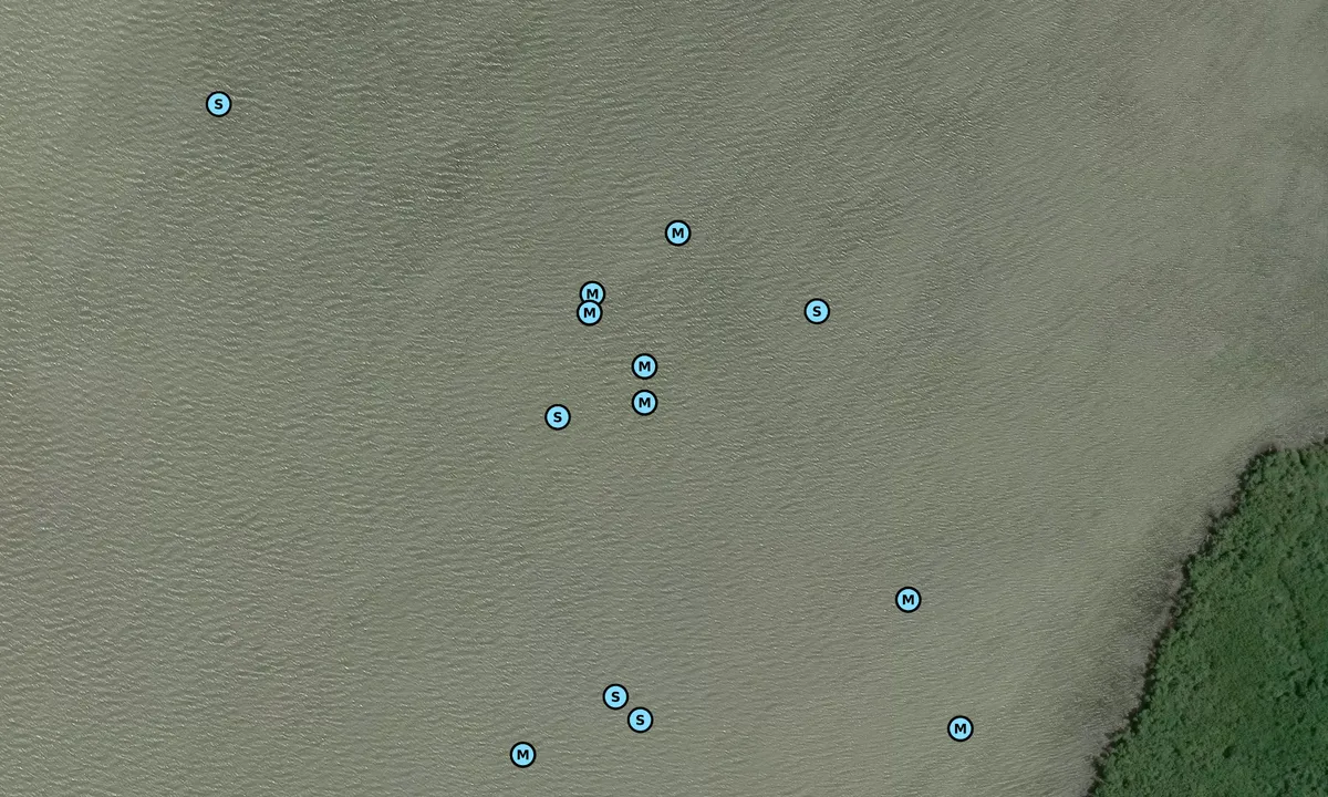 Satelite image of Outside Little Shark River