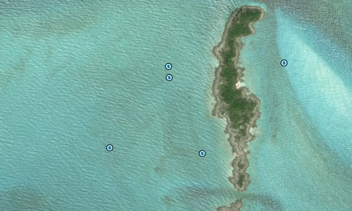 Satelite image of Oyster