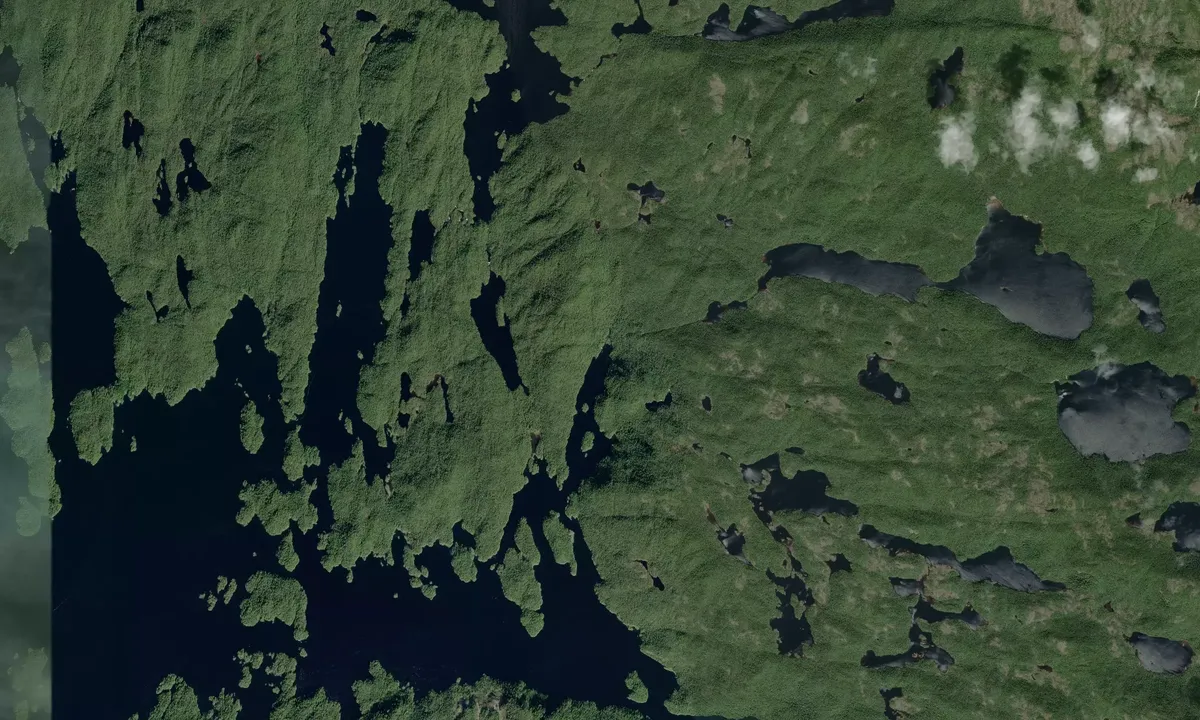 Flyfoto av Oyster Bay - Dawsons Landing