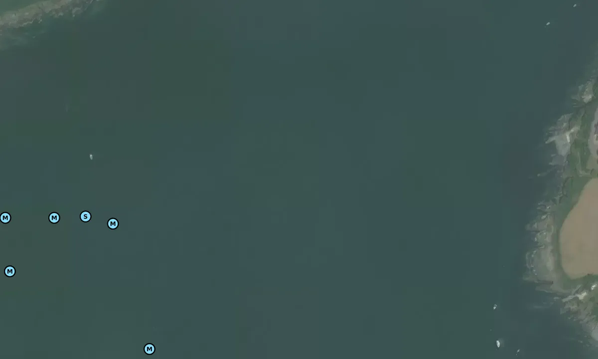 Satelite image of Oyster Haven - Ballymaccus
